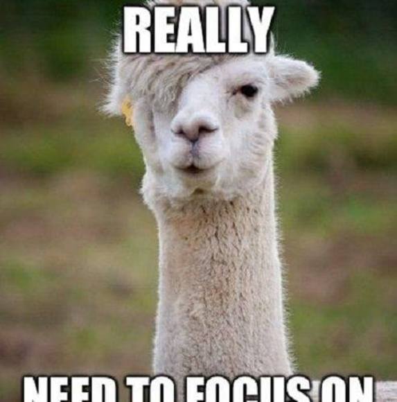 p_horton